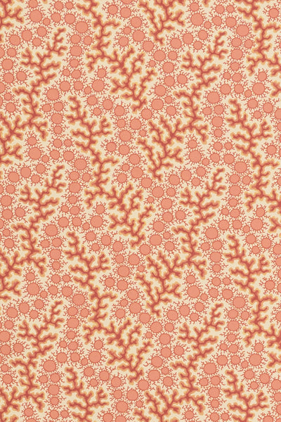 jmp-cor-01 crustacean_CORALIE wallpaper