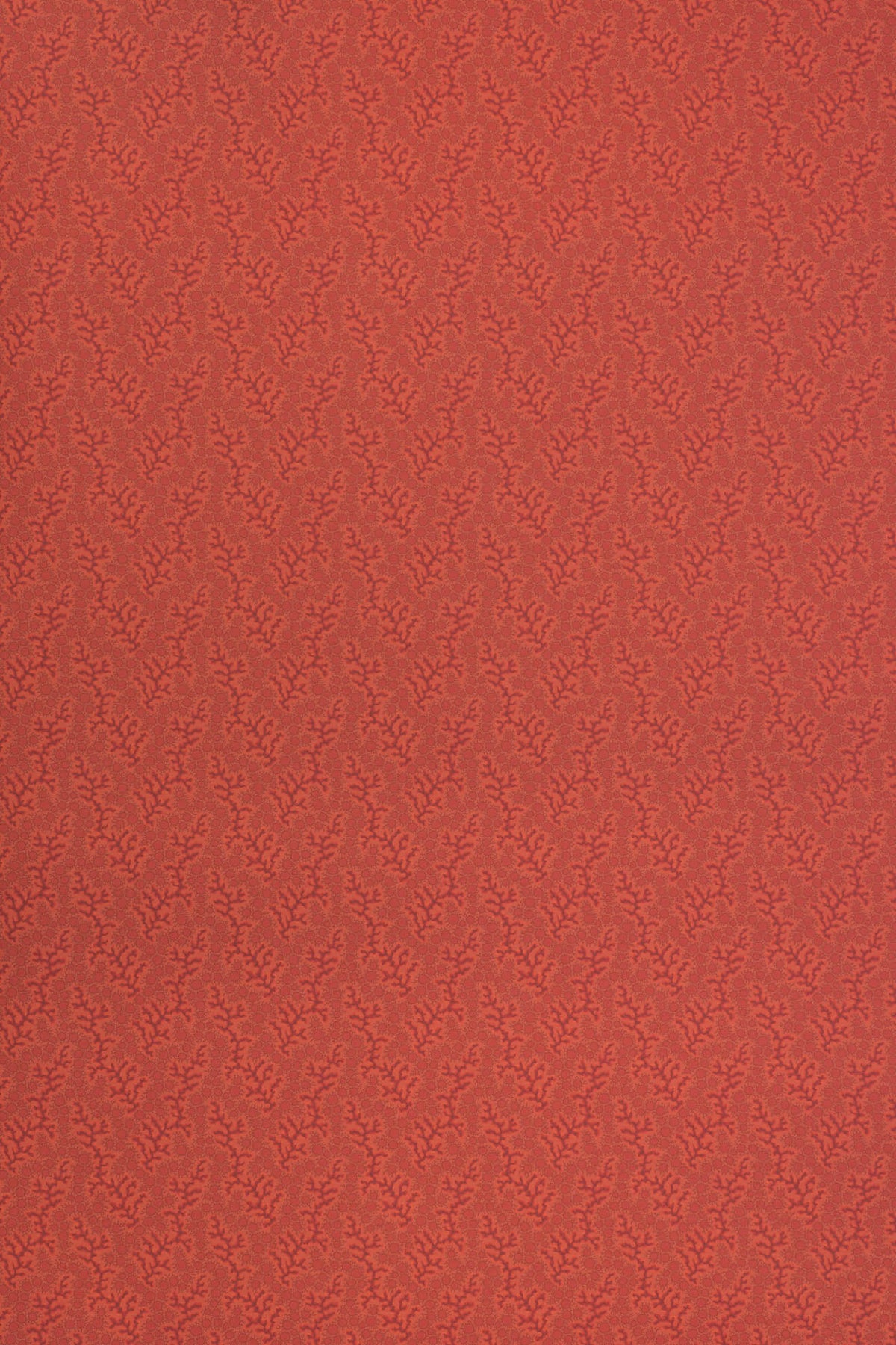 jmp-cor-02 harissa_CORALIE wallpaper