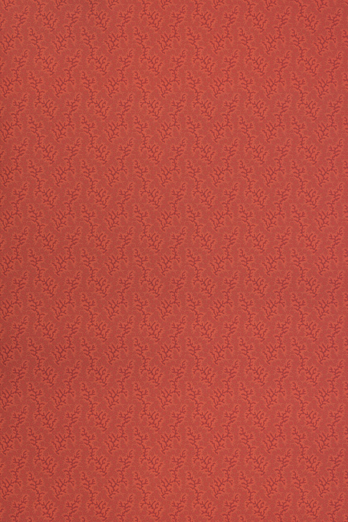 jmp-cor-02 harissa_CORALIE wallpaper
