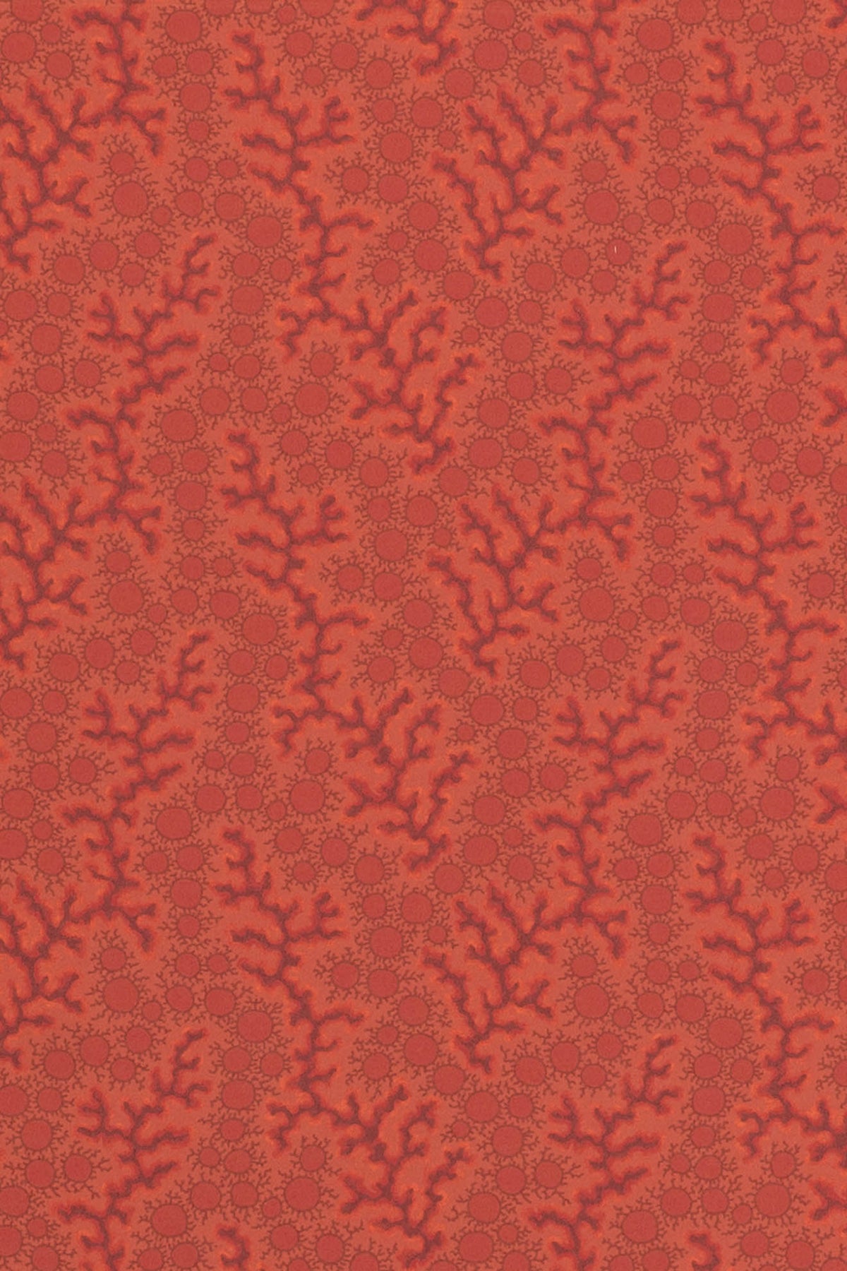 jmp-cor-02 harissa_CORALIE wallpaper