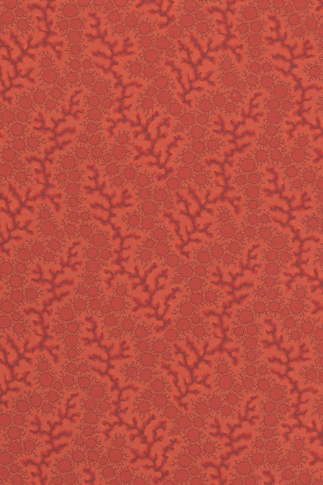 jmp-cor-02 harissa_CORALIE wallpaper