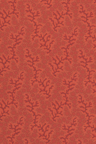 jmp-cor-02 harissa_CORALIE wallpaper