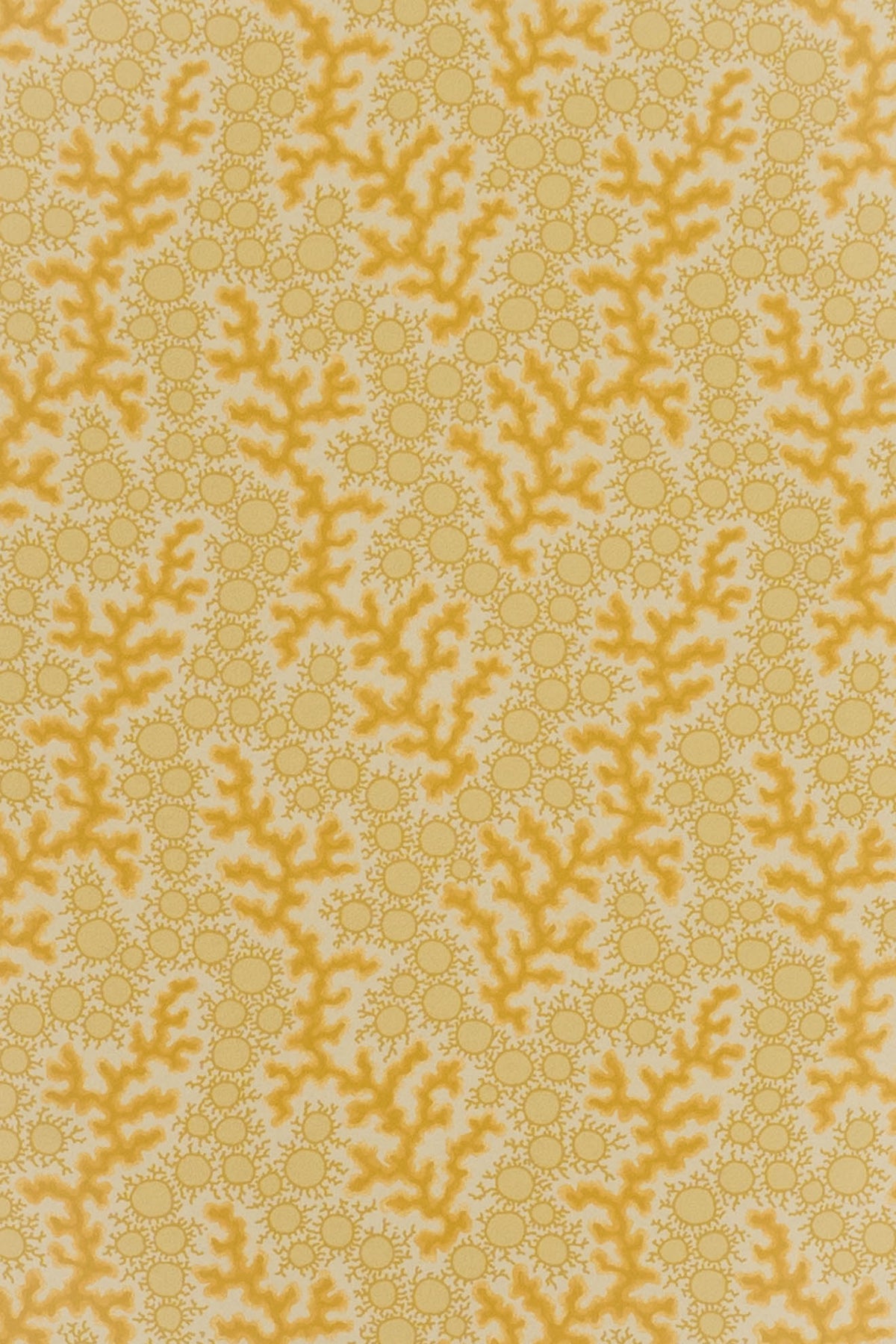 jmp-cor-03 dijon_CORALIE wallpaper