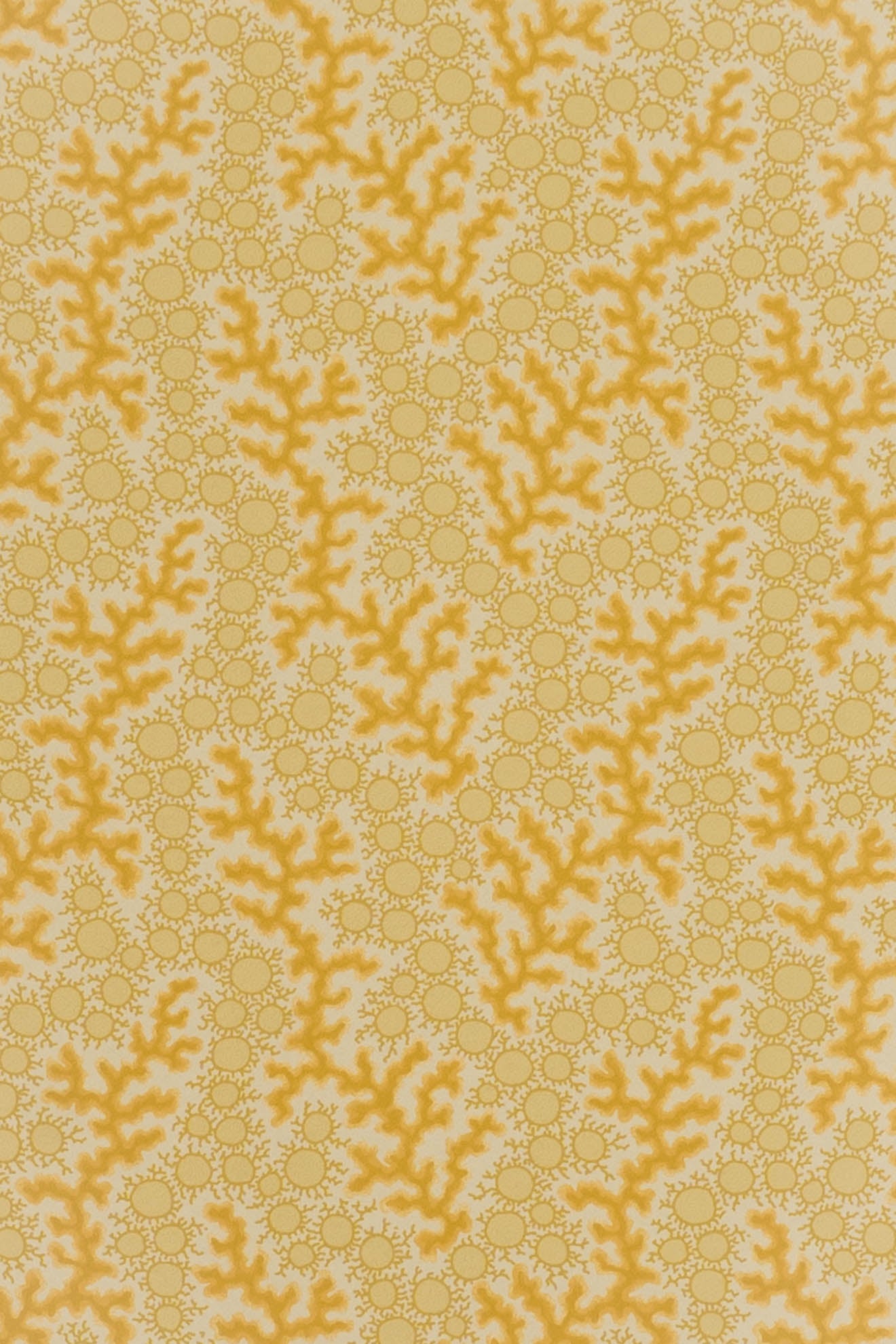 jmp-cor-03 dijon_CORALIE wallpaper