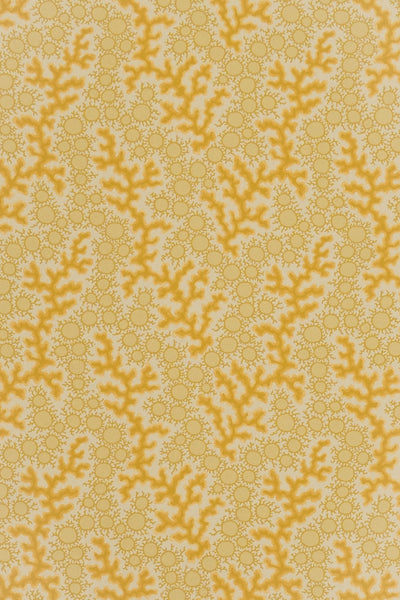 jmp-cor-03 dijon_CORALIE wallpaper
