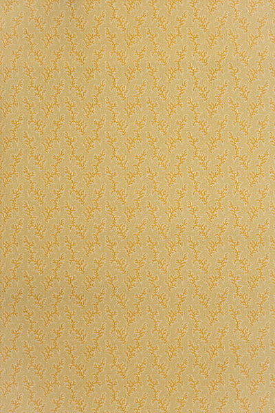 jmp-cor-03 dijon_CORALIE wallpaper