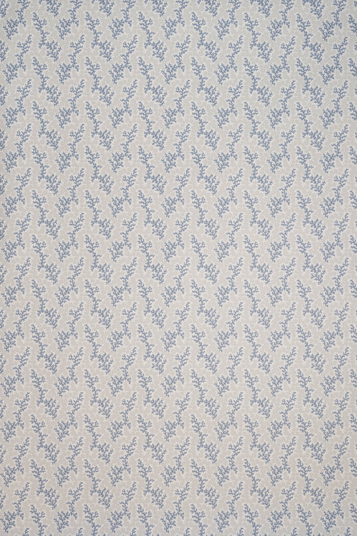 jmp-cor-06 cotton_CORALIE wallpaper