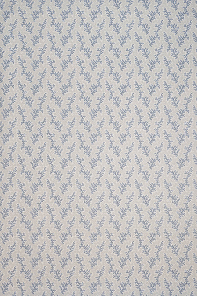 jmp-cor-06 cotton_CORALIE wallpaper