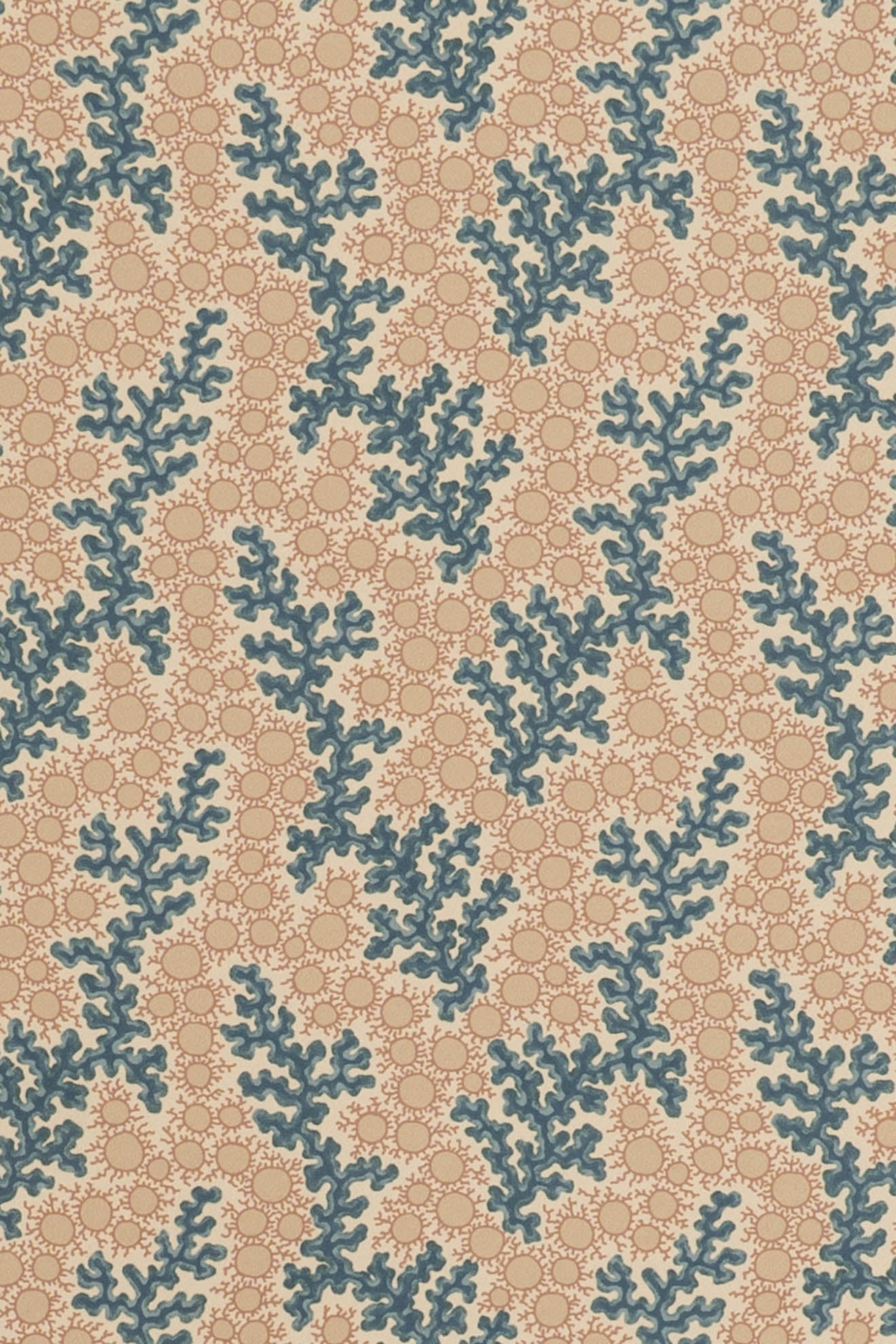 jmp-cor-07 sea_CORALIE wallpaper
