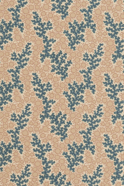jmp-cor-07 sea_CORALIE wallpaper