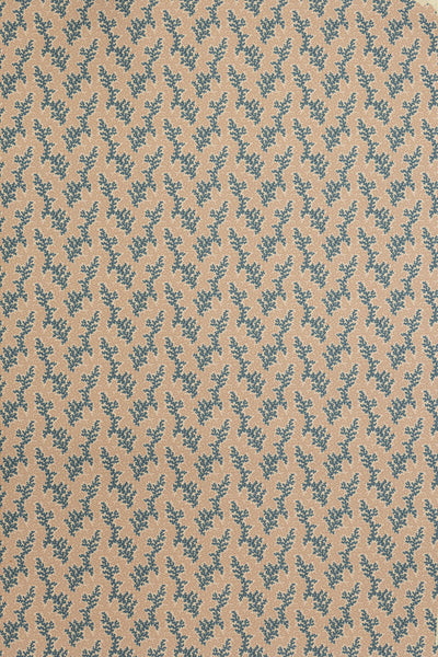 jmp-cor-07 sea_CORALIE wallpaper
