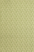 JMP-COR-08 grass