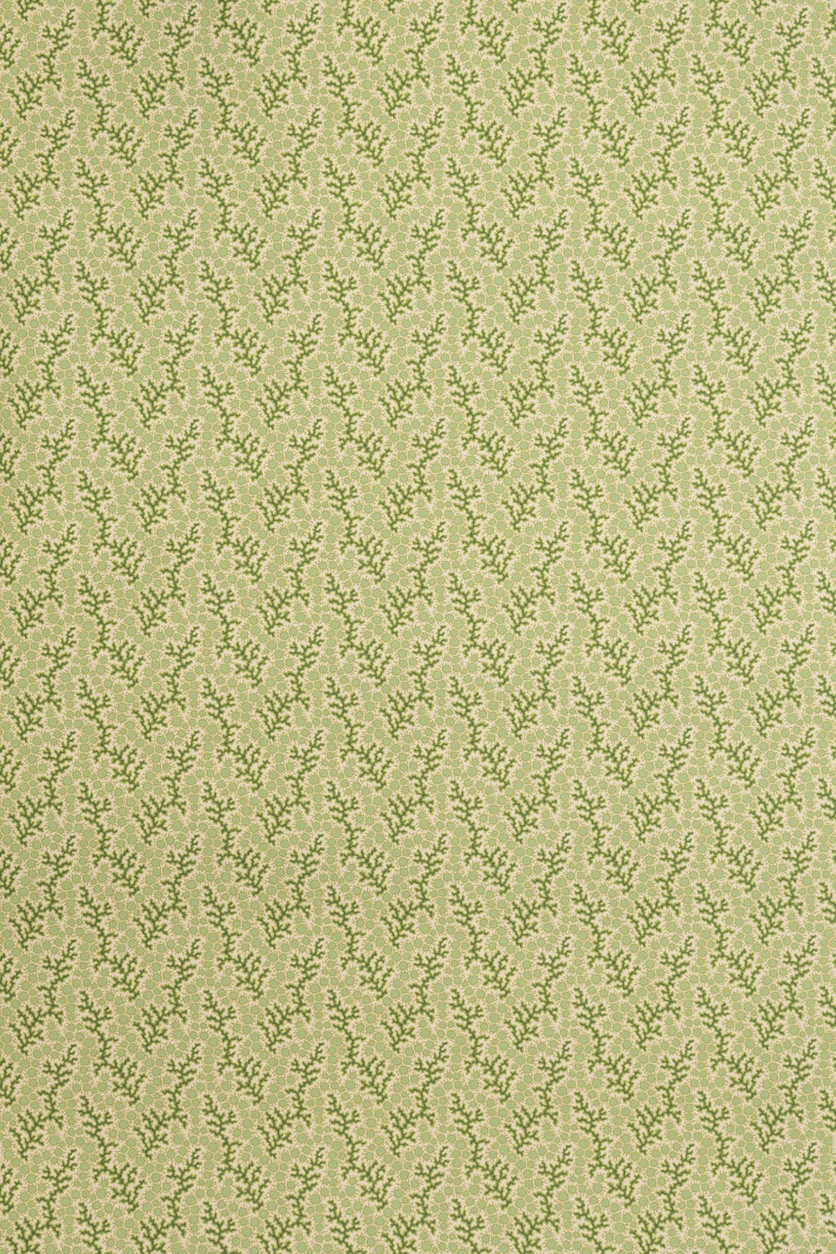 jmp-cor-08 grass_CORALIE wallpaper