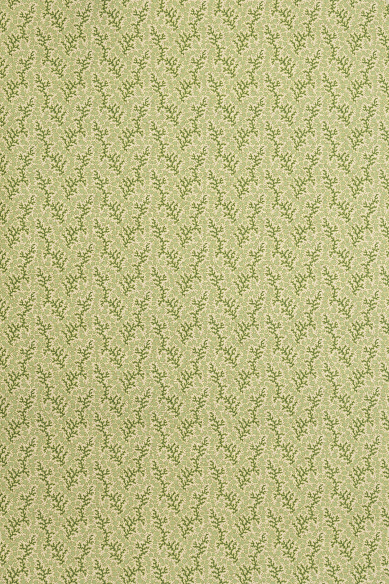 jmp-cor-08 grass_CORALIE wallpaper