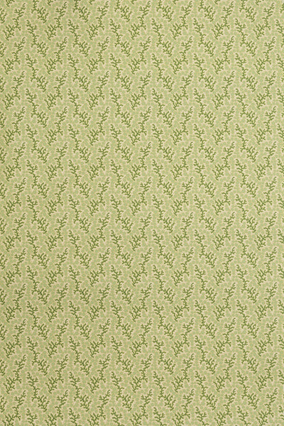 jmp-cor-08 grass_CORALIE wallpaper