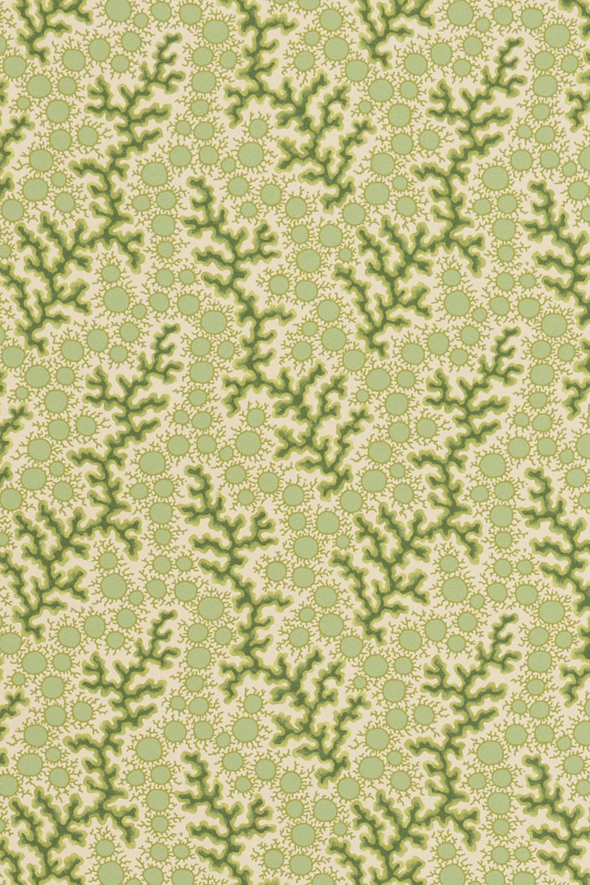 jmp-cor-08 grass_CORALIE wallpaper