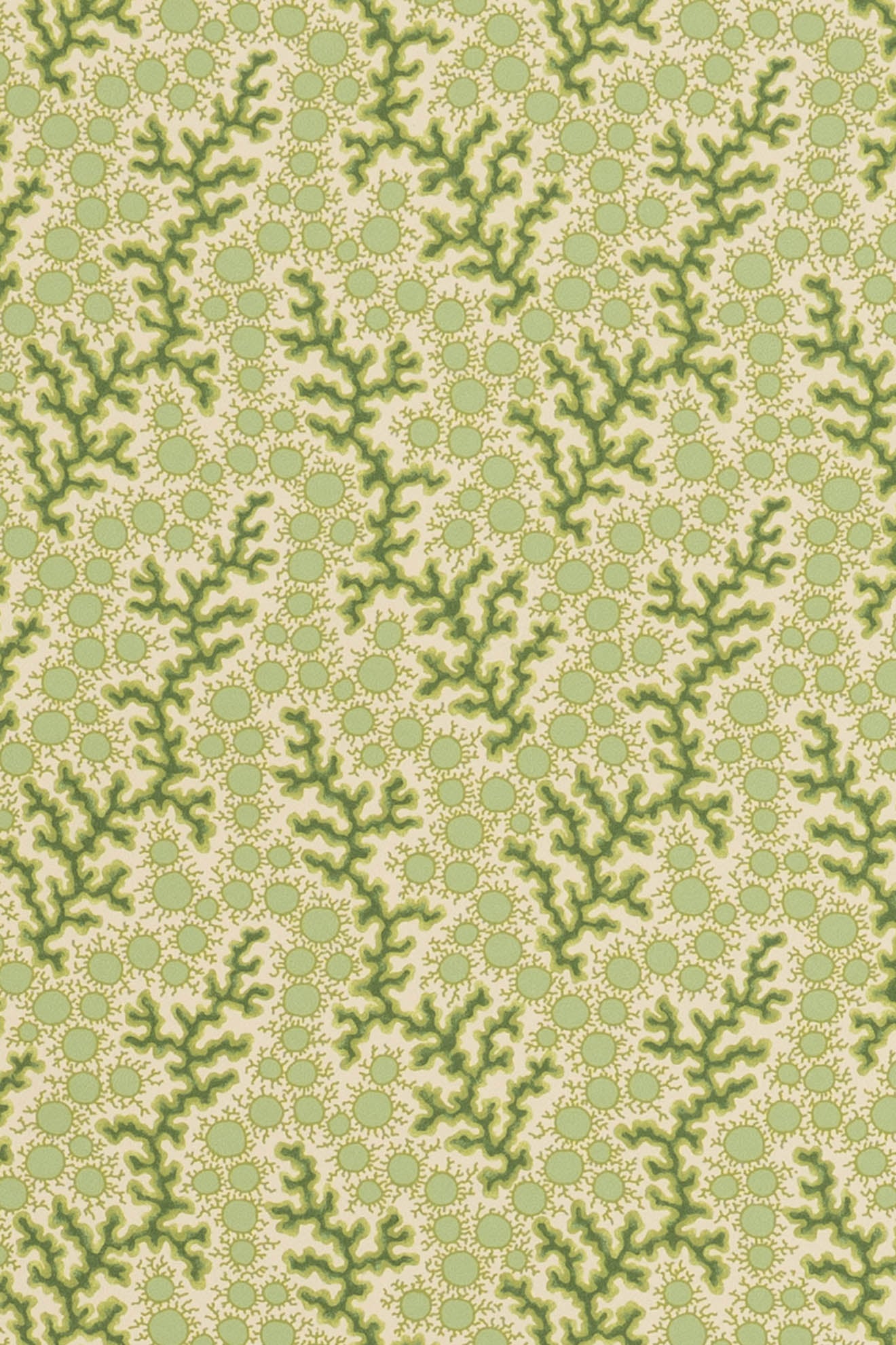 jmp-cor-08 grass_CORALIE wallpaper