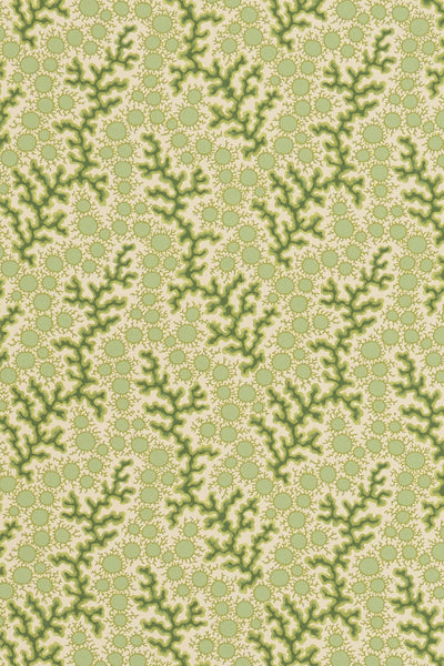 jmp-cor-08 grass_CORALIE wallpaper