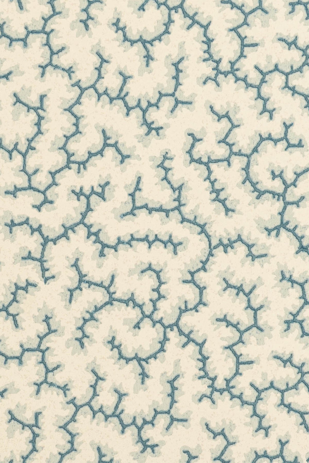jmp-cra-01 whale_CRACKLE wallpaper