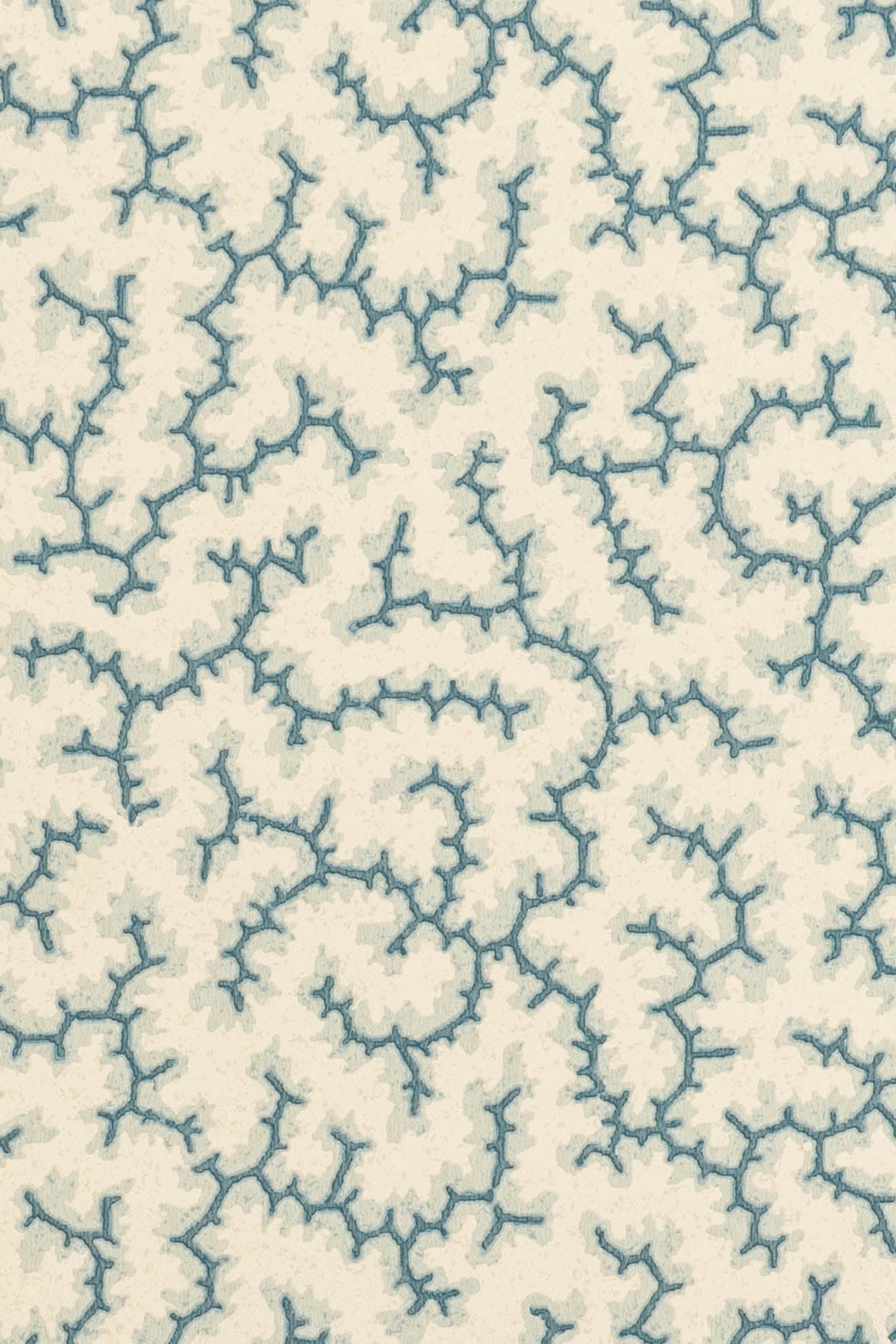 jmp-cra-01 whale_CRACKLE wallpaper