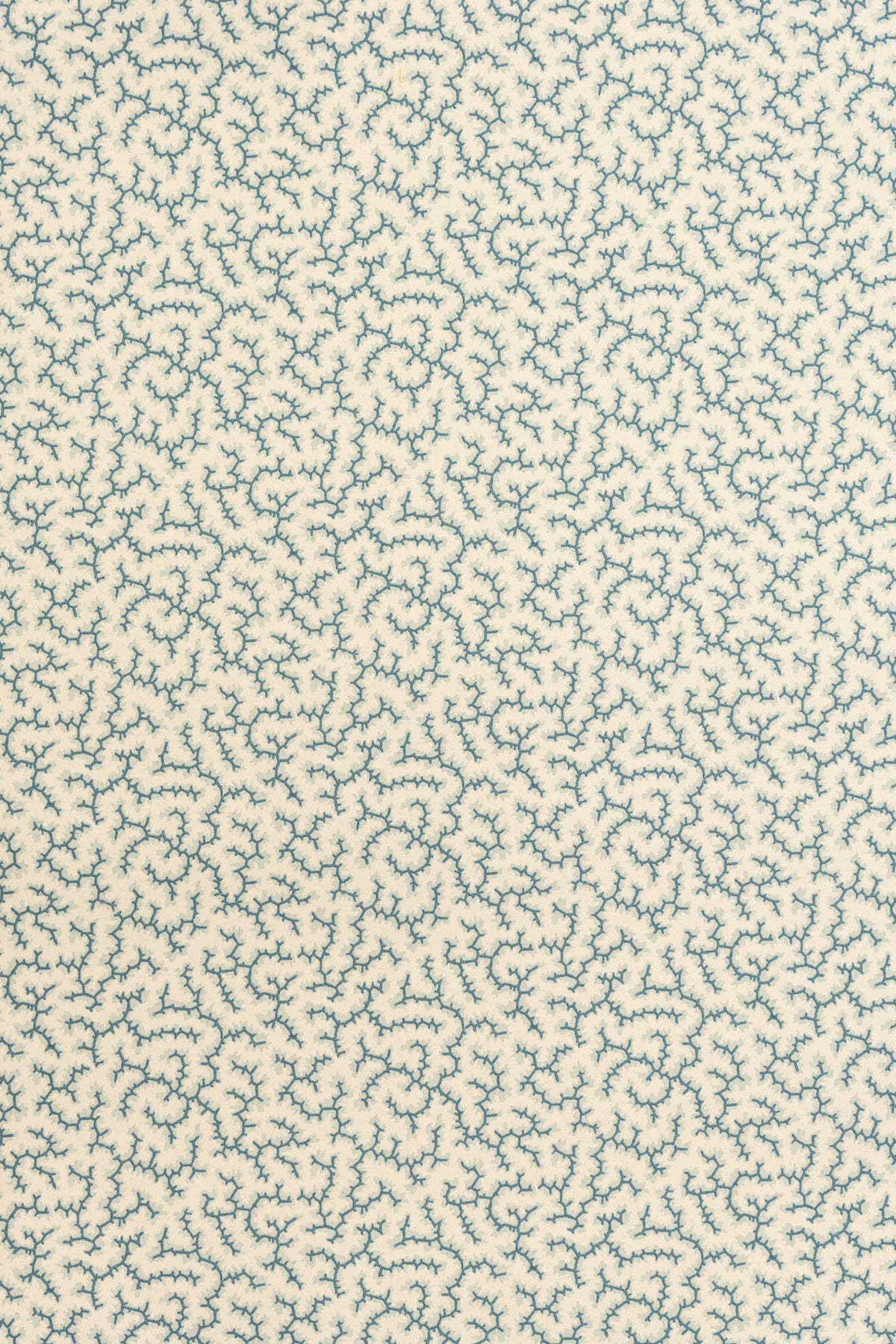 jmp-cra-01 whale_CRACKLE wallpaper