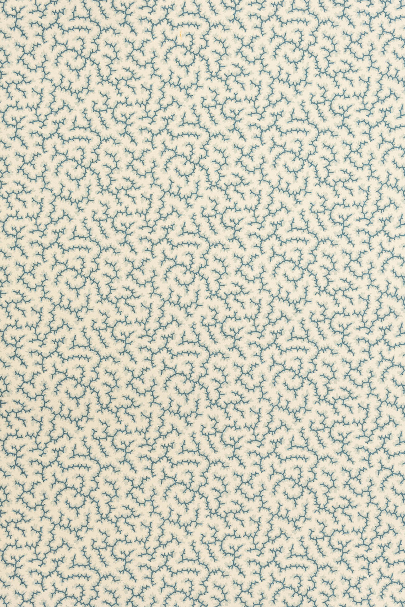 jmp-cra-01 whale_CRACKLE wallpaper