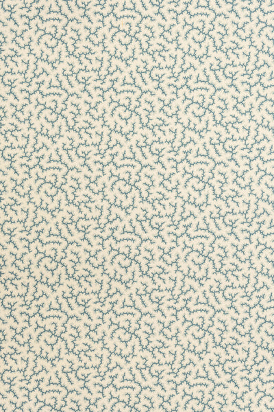 jmp-cra-01 whale_CRACKLE wallpaper