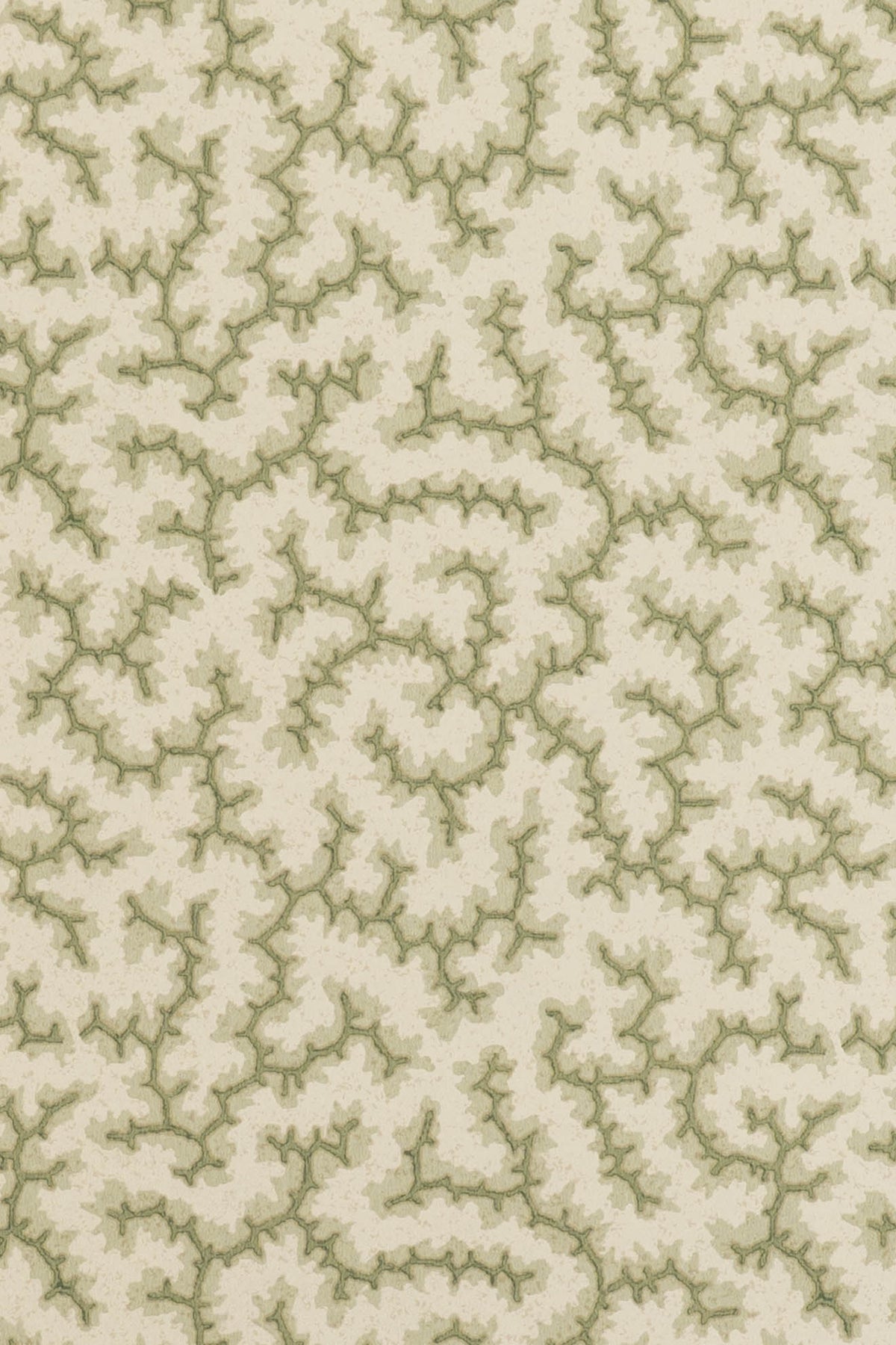 jmp-cra-03 lichen_CRACKLE wallpaper
