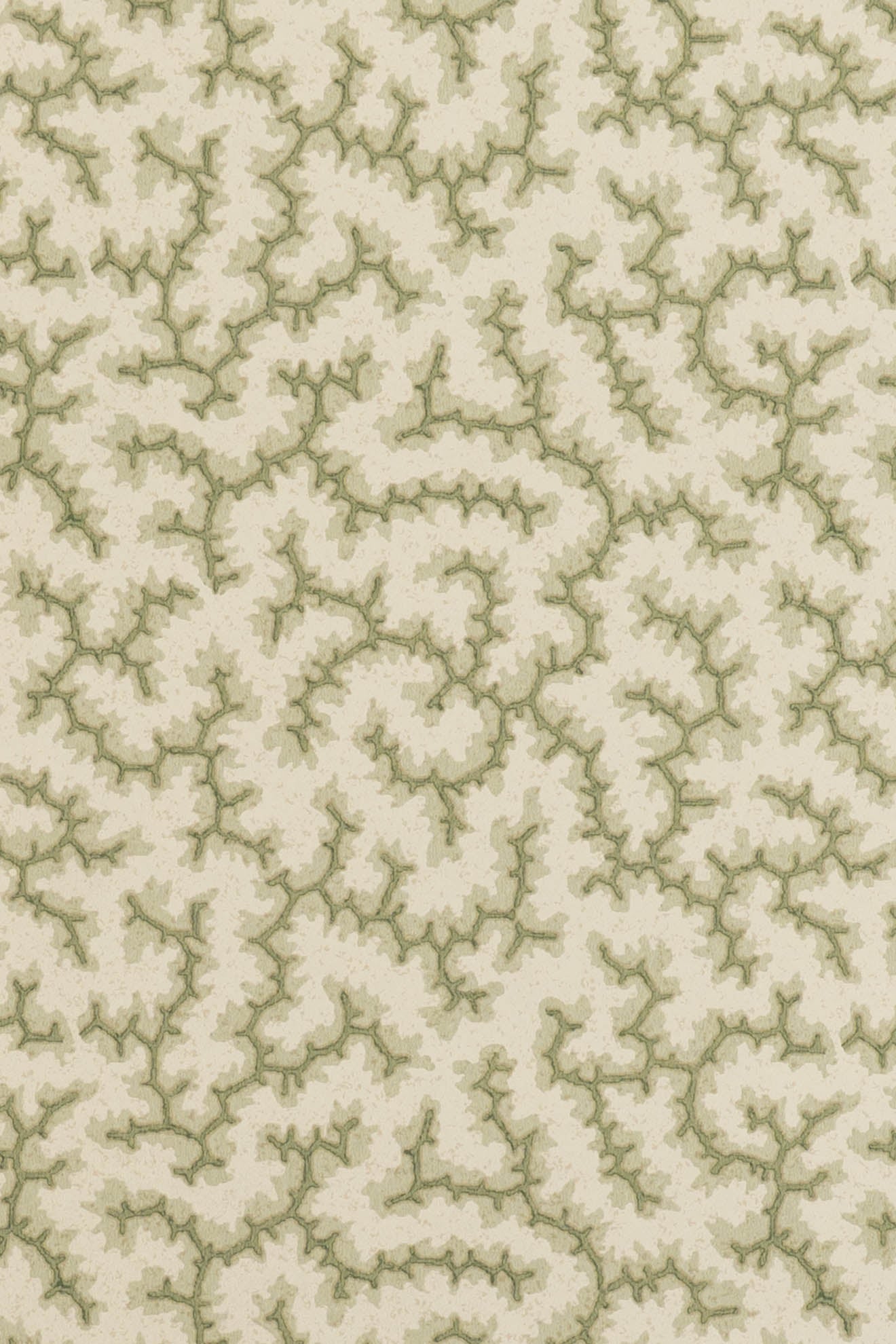 jmp-cra-03 lichen_CRACKLE wallpaper
