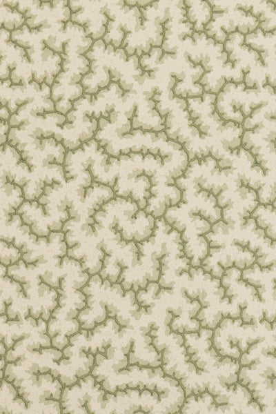 jmp-cra-03 lichen_CRACKLE wallpaper
