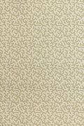 JMP-CRA-03 lichen