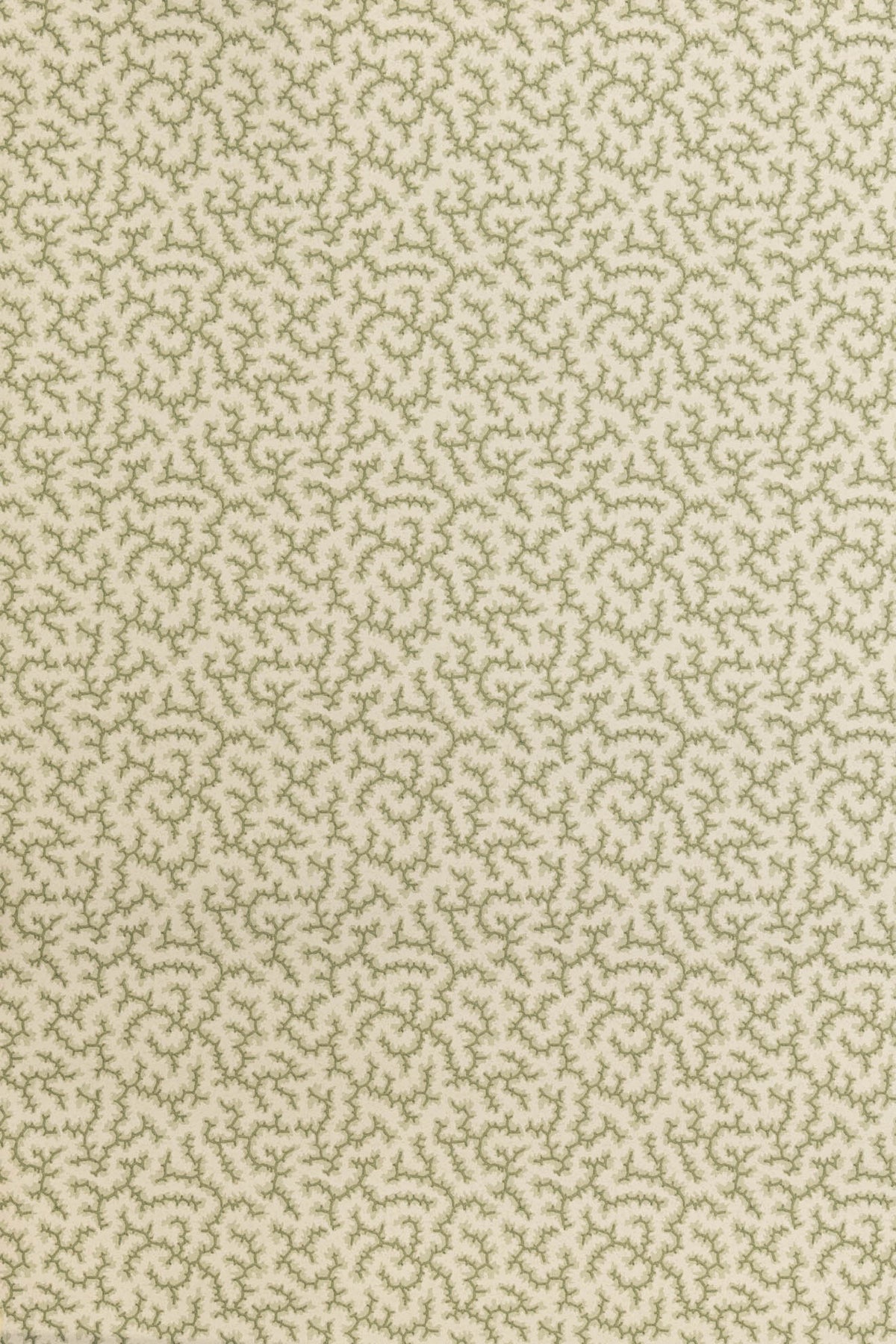 jmp-cra-03 lichen_CRACKLE wallpaper