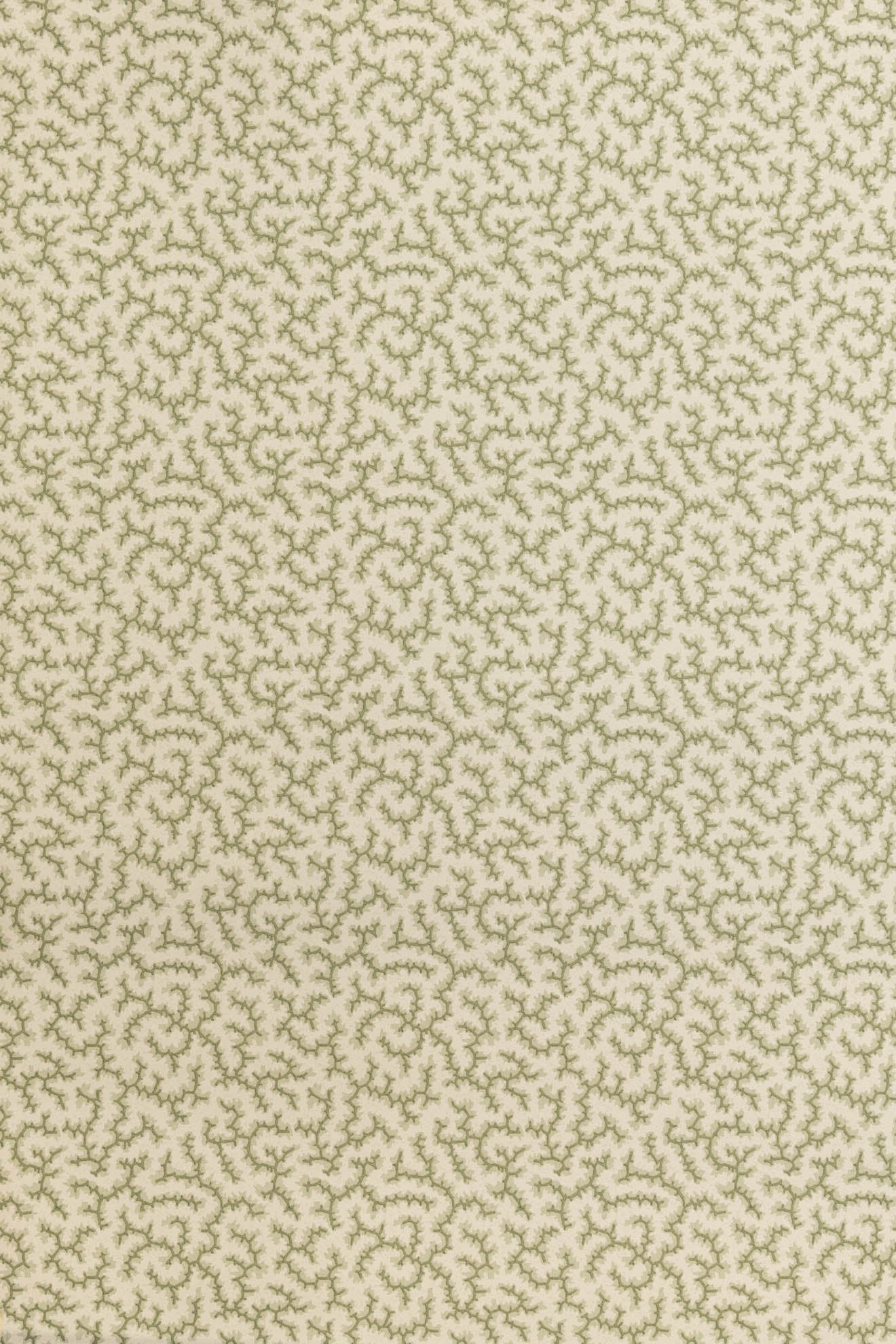 jmp-cra-03 lichen_CRACKLE wallpaper