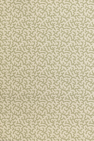 jmp-cra-03 lichen_CRACKLE wallpaper