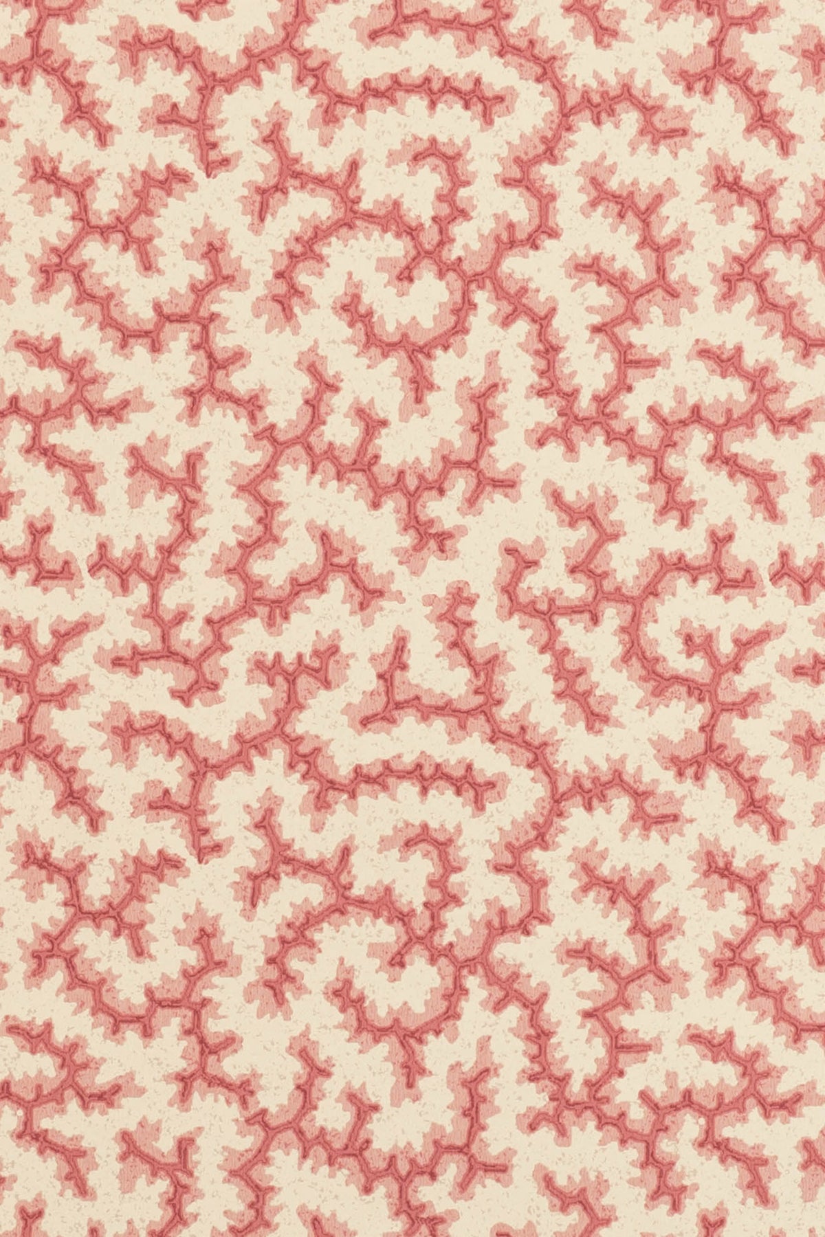 jmp-cra-04 grenadine_CRACKLE wallpaper
