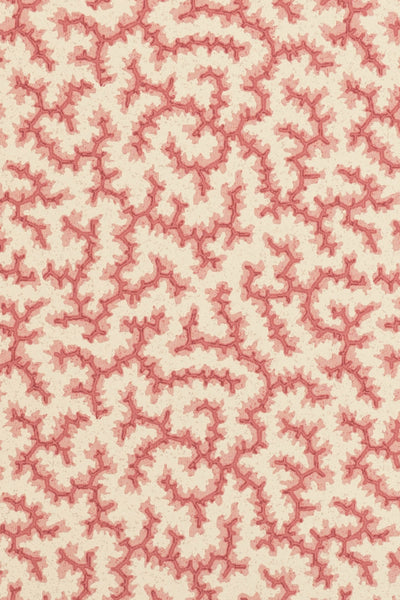 jmp-cra-04 grenadine_CRACKLE wallpaper