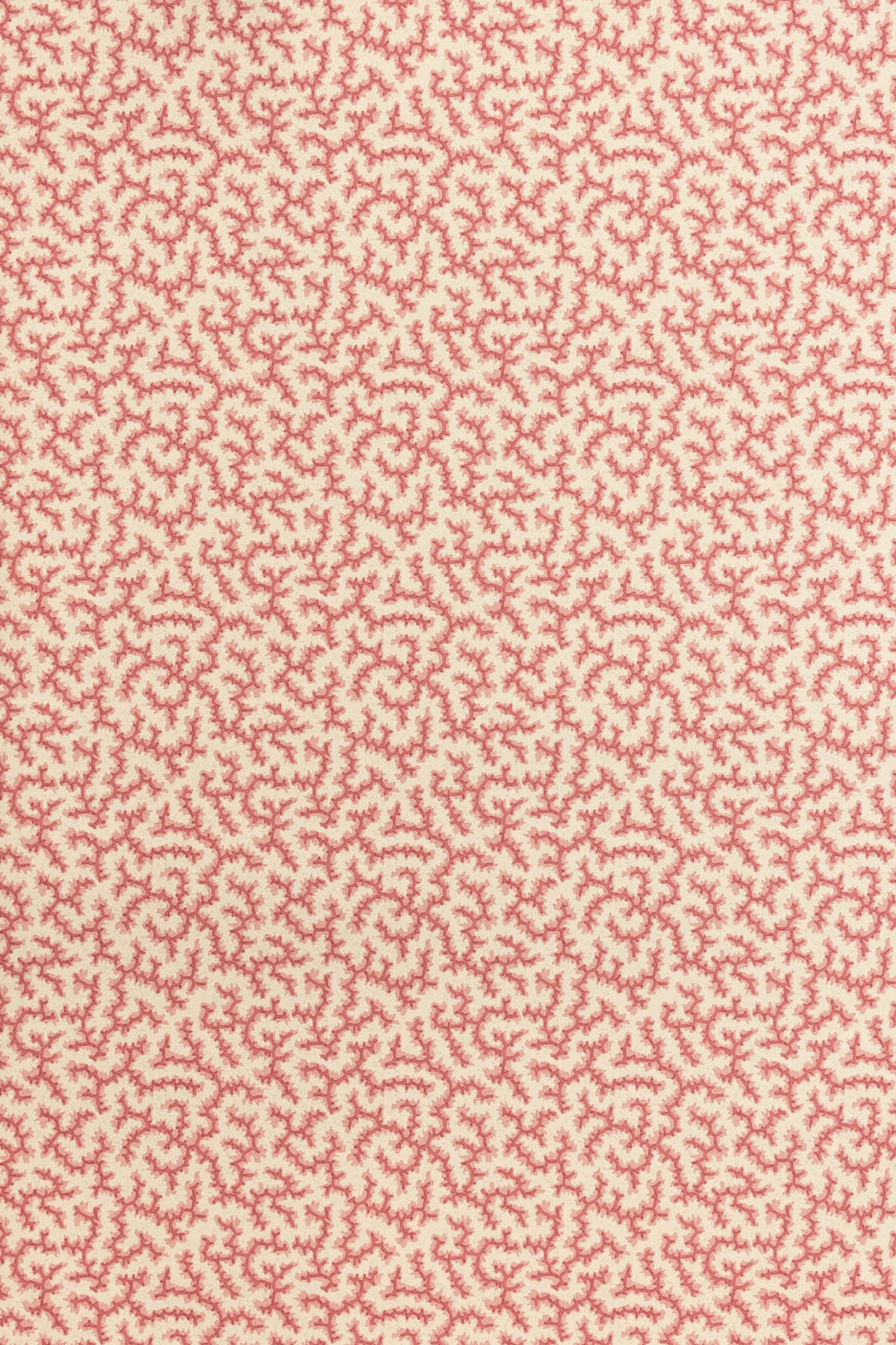 jmp-cra-04 grenadine_CRACKLE wallpaper