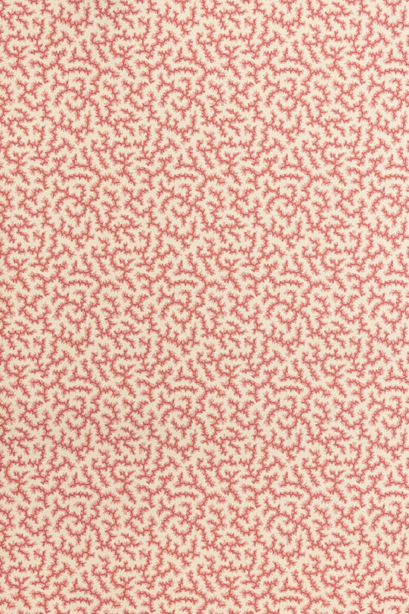 jmp-cra-04 grenadine_CRACKLE wallpaper