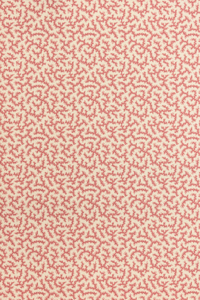 jmp-cra-04 grenadine_CRACKLE wallpaper