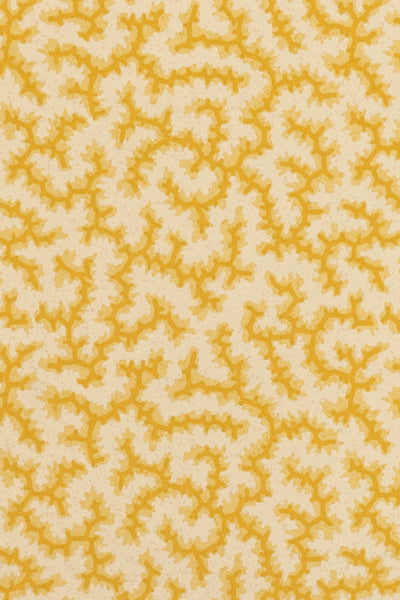 jmp-cra-05 grapefruit_CRACKLE wallpaper