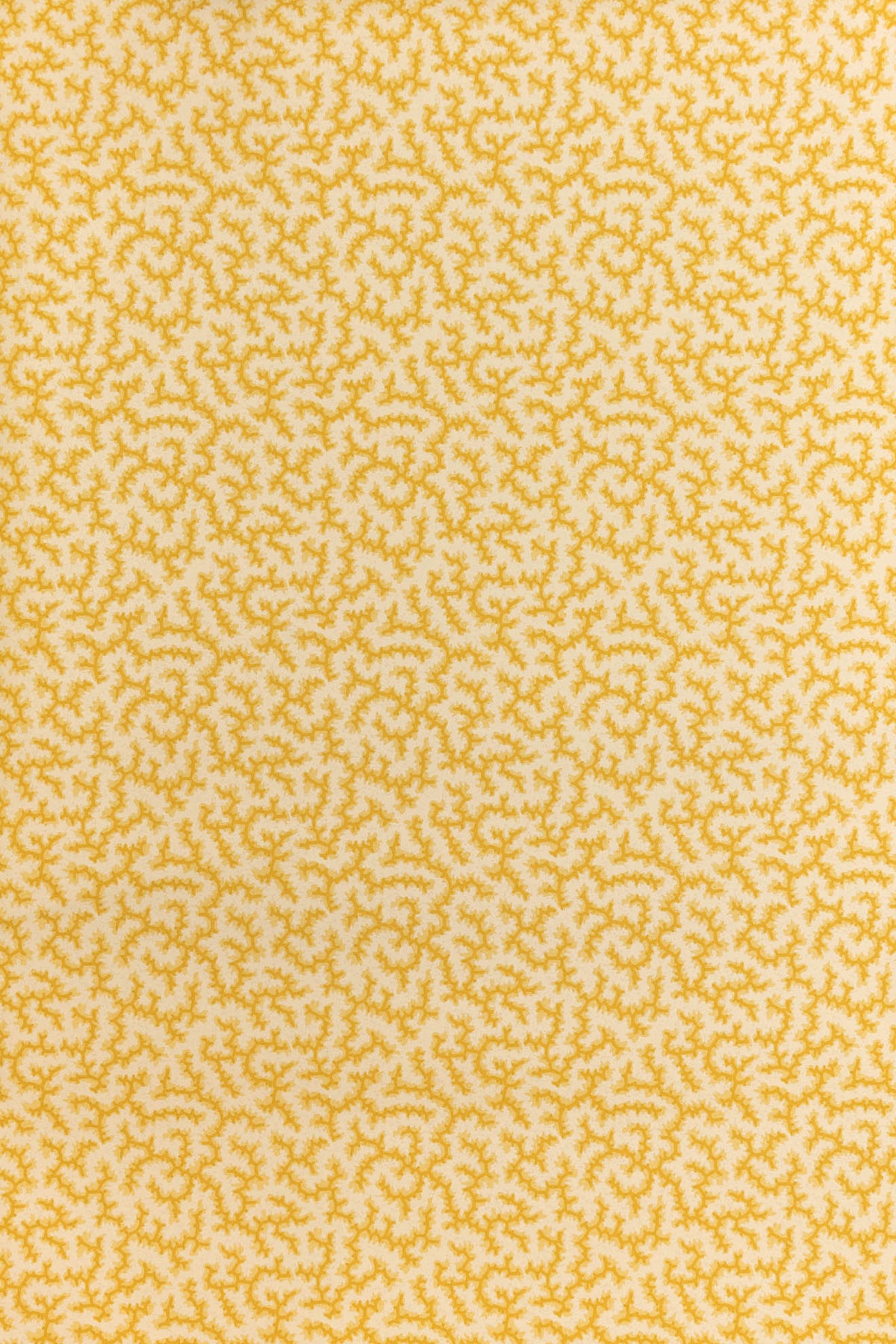 jmp-cra-05 grapefruit_CRACKLE wallpaper