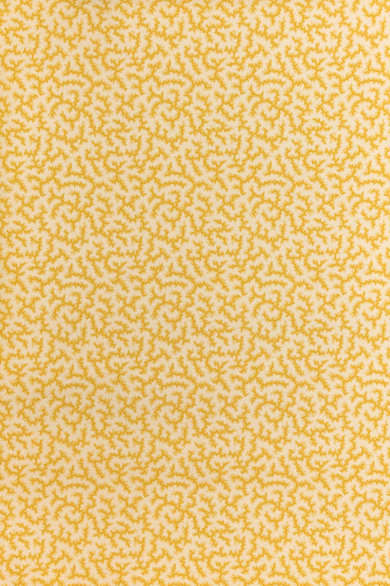 jmp-cra-05 grapefruit_CRACKLE wallpaper