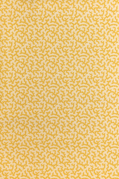 jmp-cra-05 grapefruit_CRACKLE wallpaper
