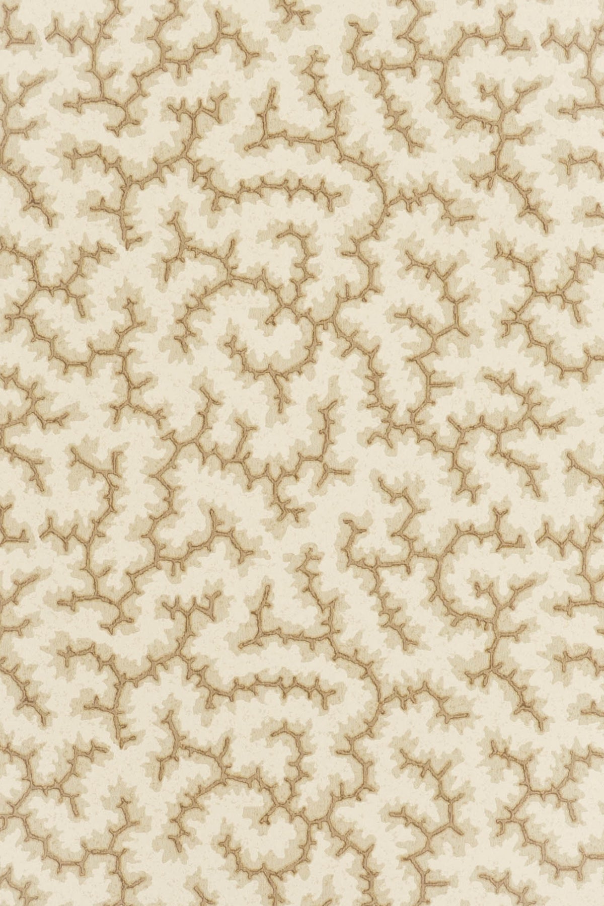 jmp-cra-06 coffee bean_CRACKLE wallpaper