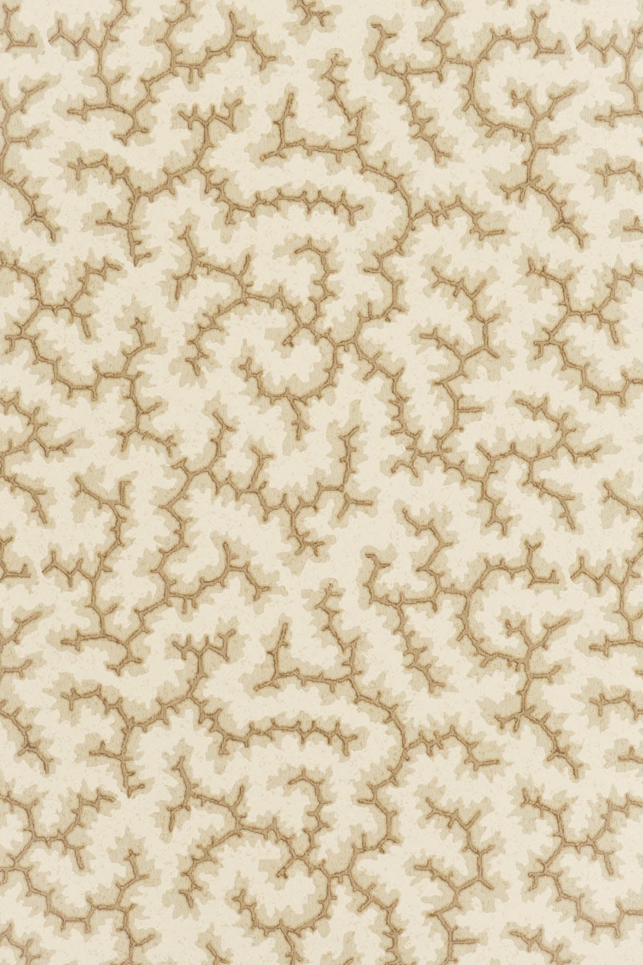 jmp-cra-06 coffee bean_CRACKLE wallpaper