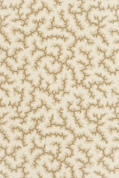 jmp-cra-06 coffee bean_CRACKLE wallpaper