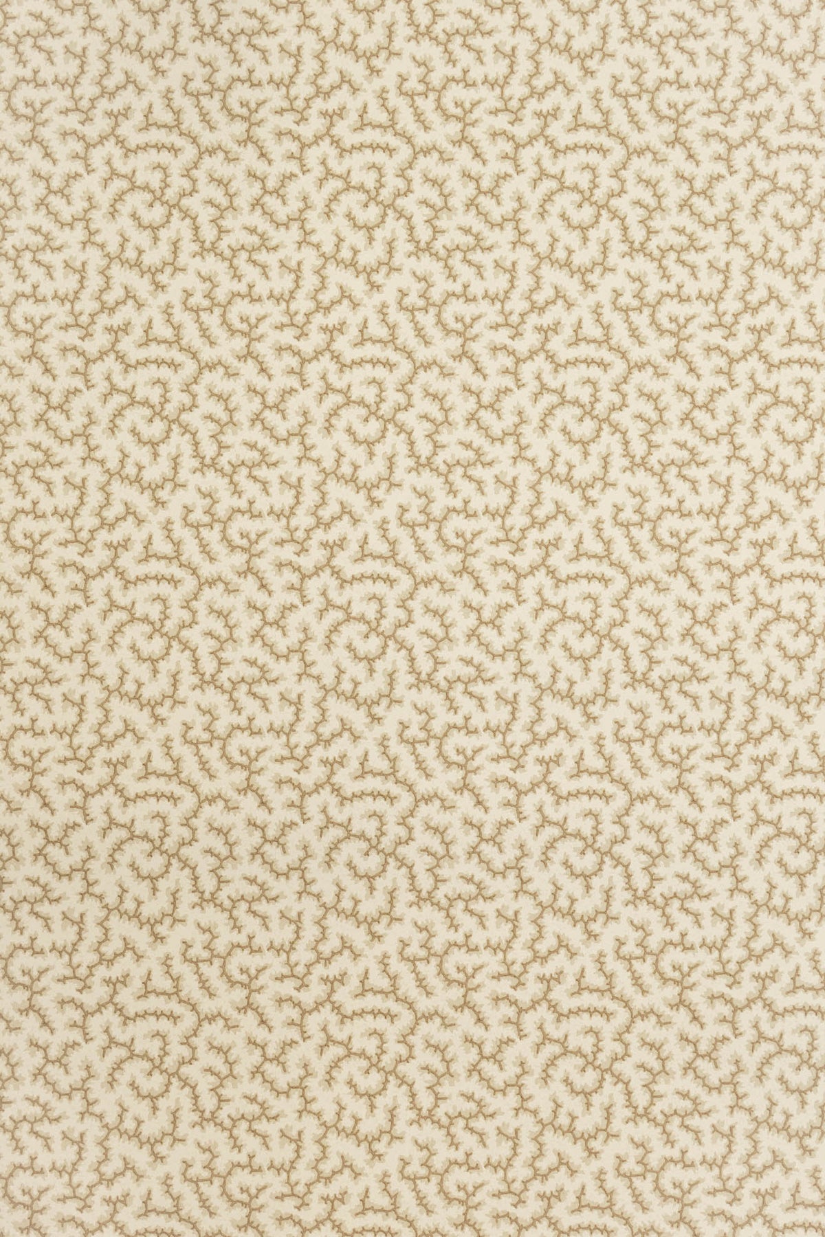 jmp-cra-06 coffee bean_CRACKLE wallpaper