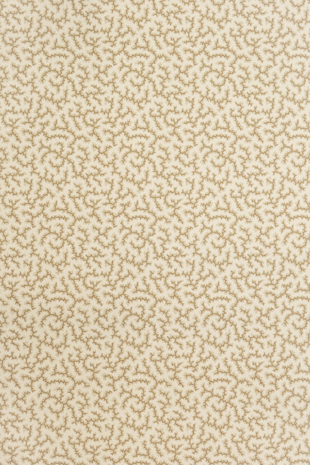 jmp-cra-06 coffee bean_CRACKLE wallpaper
