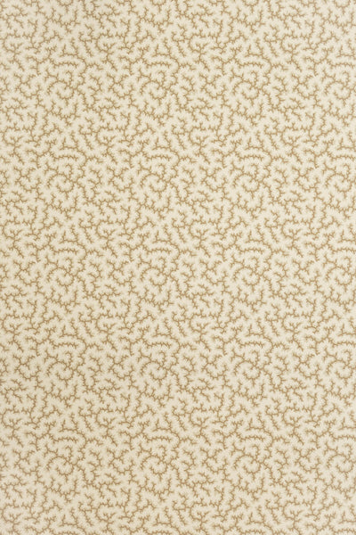 jmp-cra-06 coffee bean_CRACKLE wallpaper