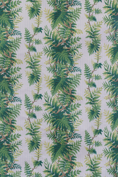FERN STRIPE